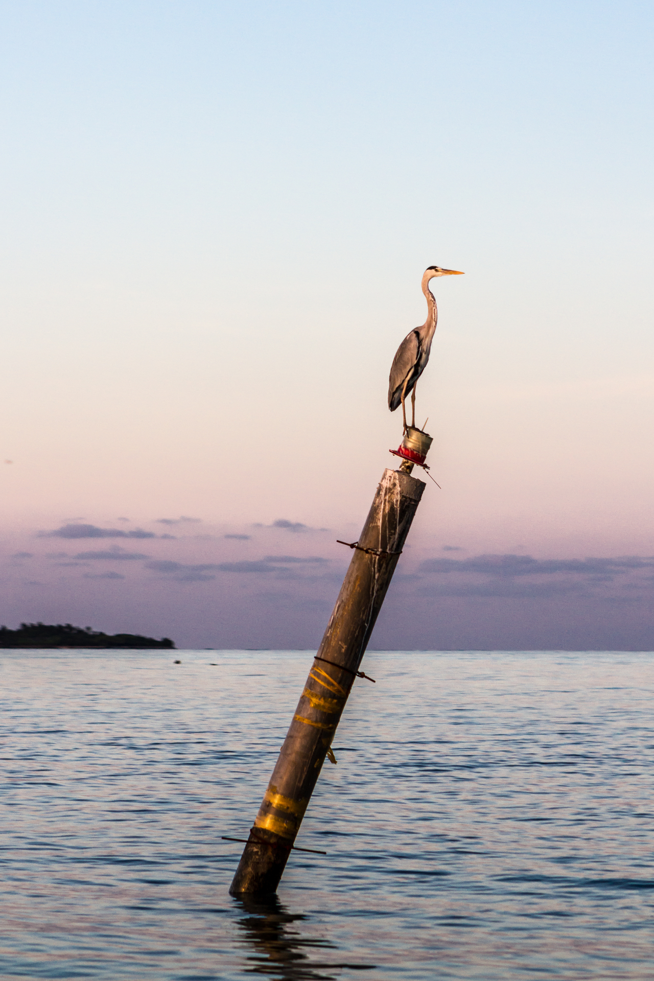 Fishing Line — Koh Samui