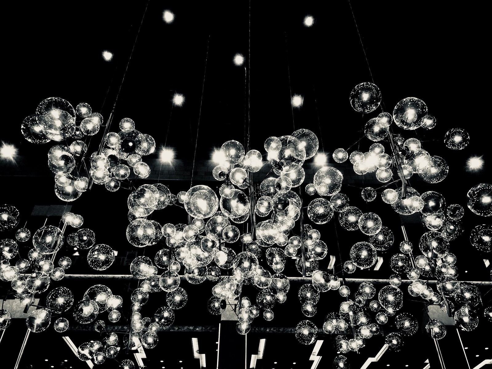 Constellation — Timisoara