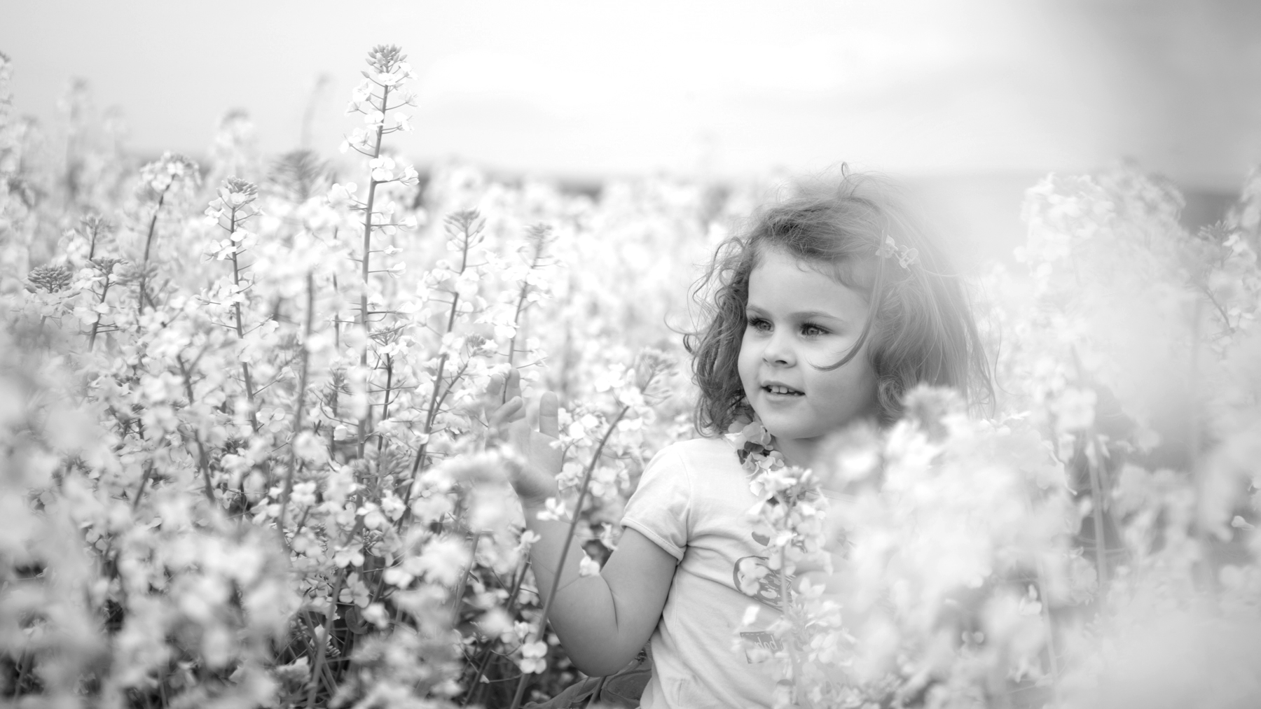 Soft Gaze — Romania