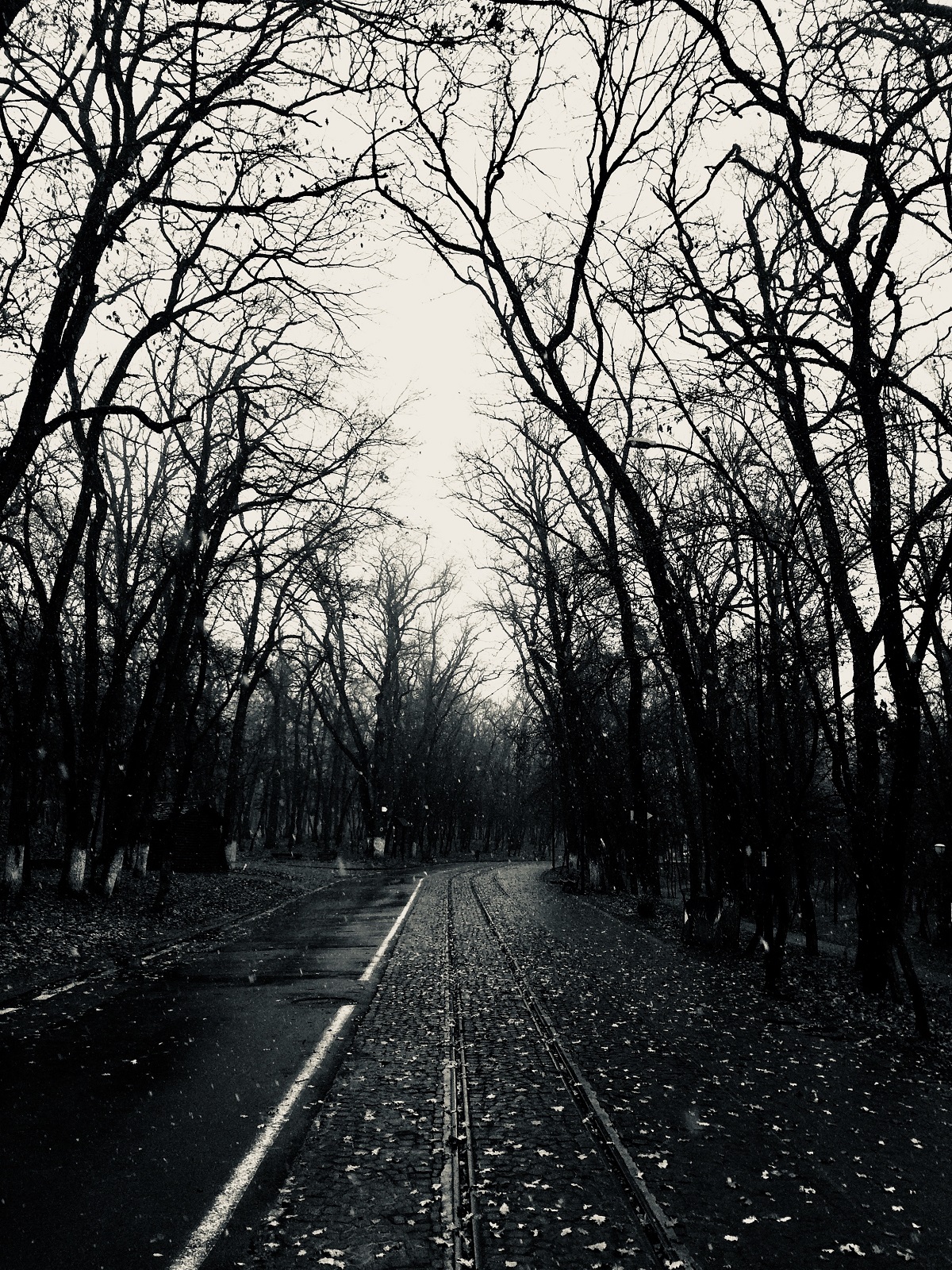 Almost — Tg. Mures