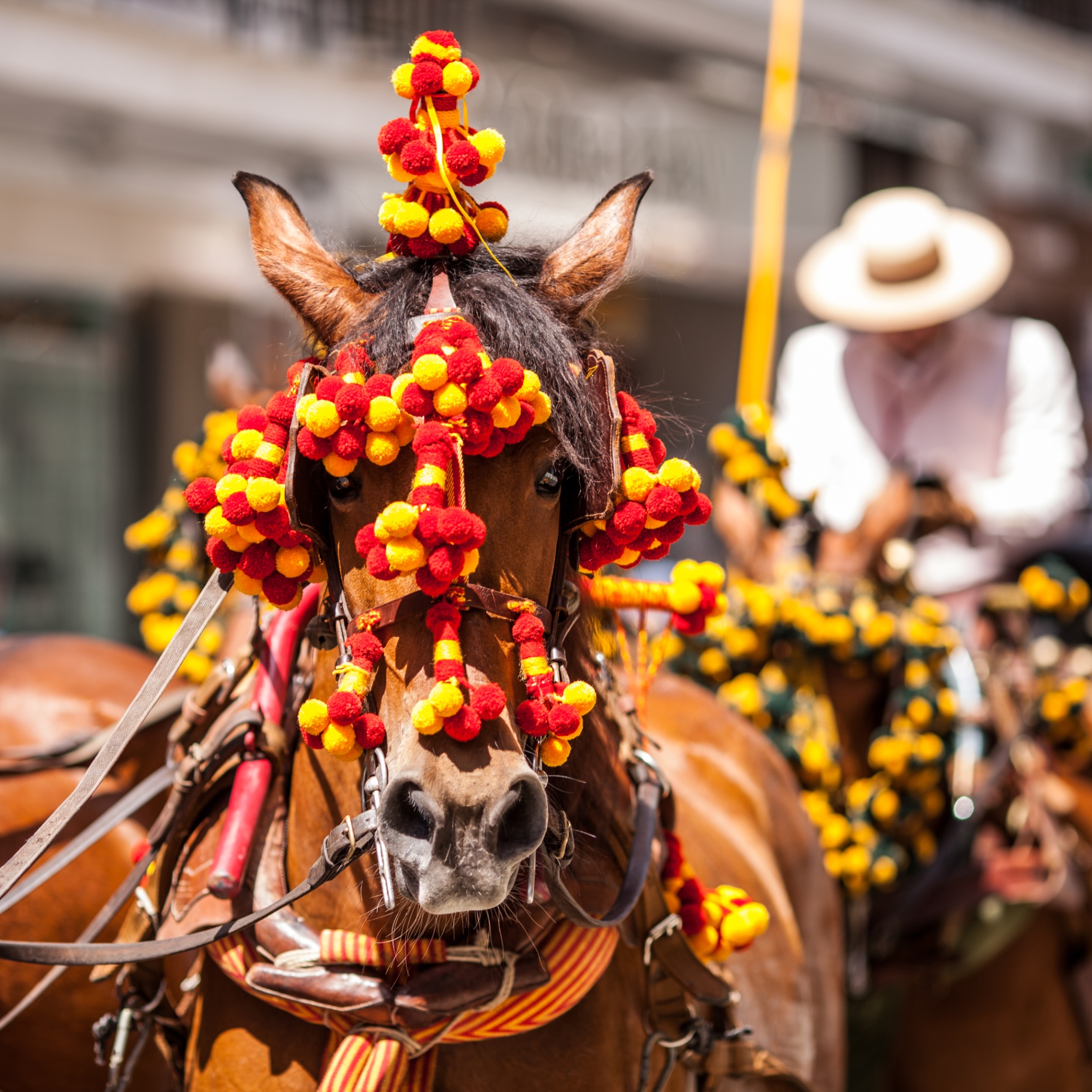 Pompom Parade — Nerja
